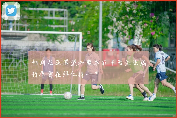 帕利尼亚渴望加盟本菲卡若无法成行愿意在拜仁待一年