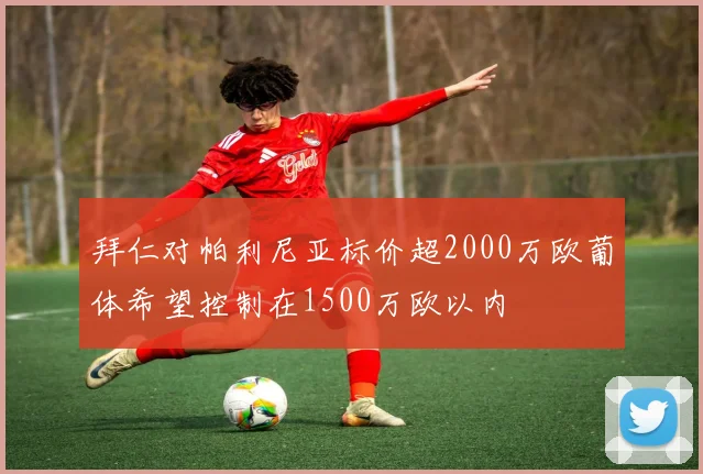 拜仁对帕利尼亚标价超2000万欧葡体希望控制在1500万欧以内